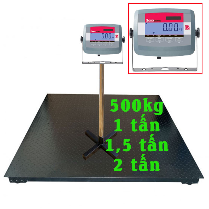 can-san-ohaus-t31p-my